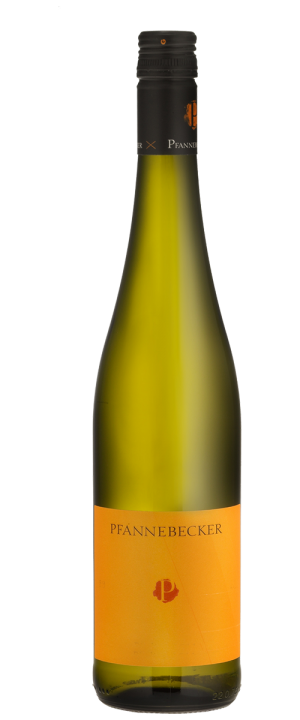 Pfannebecker, Riesling "1511" 2019